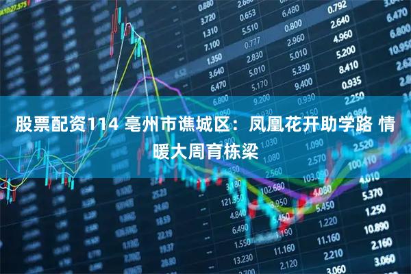 股票配资114 亳州市谯城区：凤凰花开助学路 情暖大周育栋梁