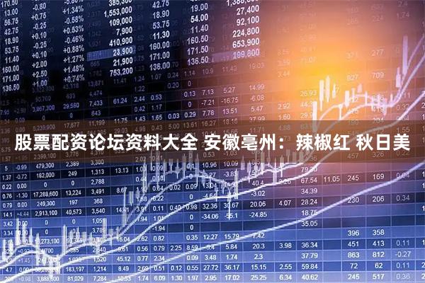 股票配资论坛资料大全 安徽亳州:辣椒红 秋日美